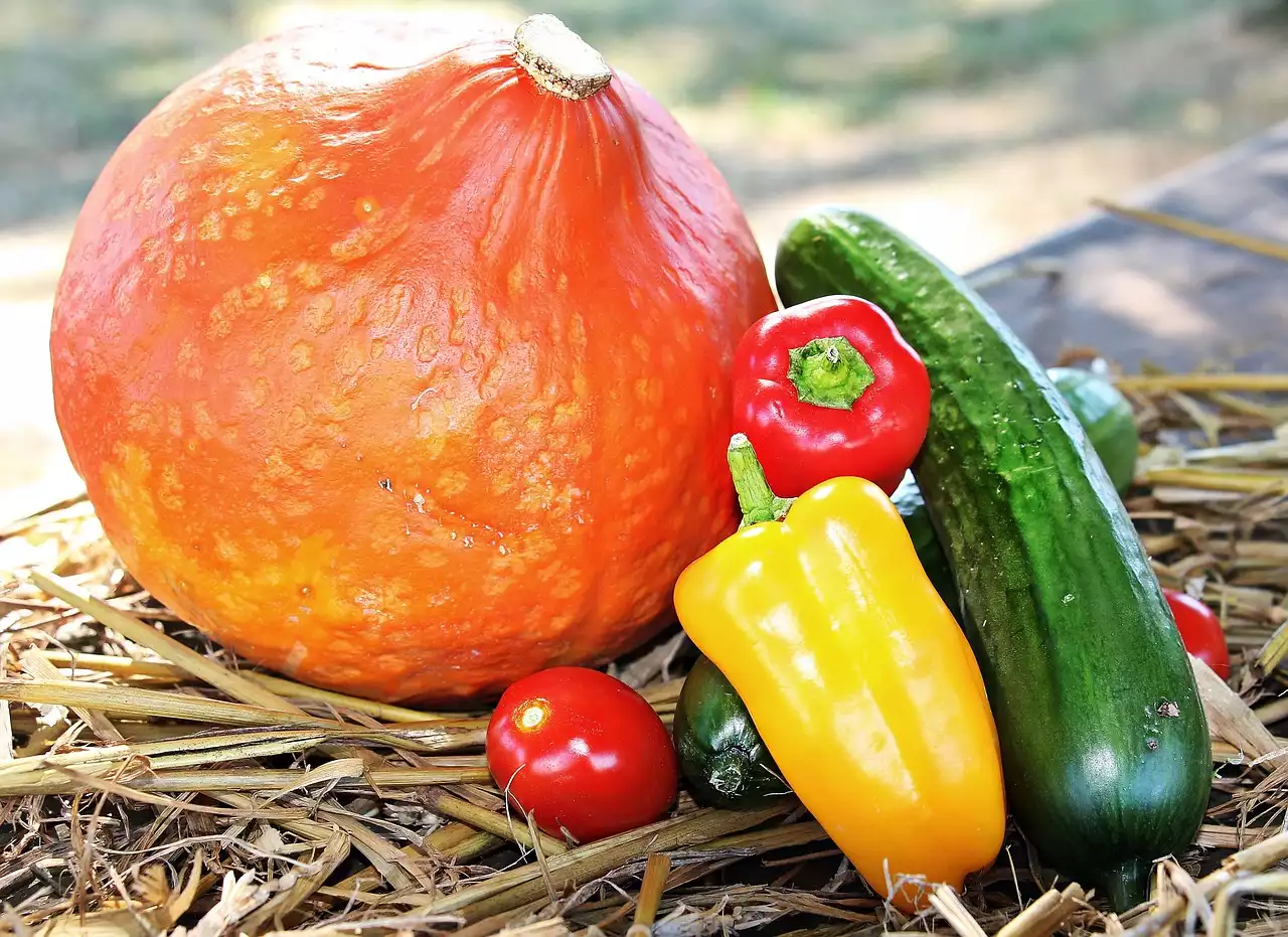 充分利用时令农产品：秋季蔬菜指南